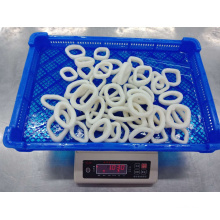 Hot Sell Frozen Squid Rings For All Market